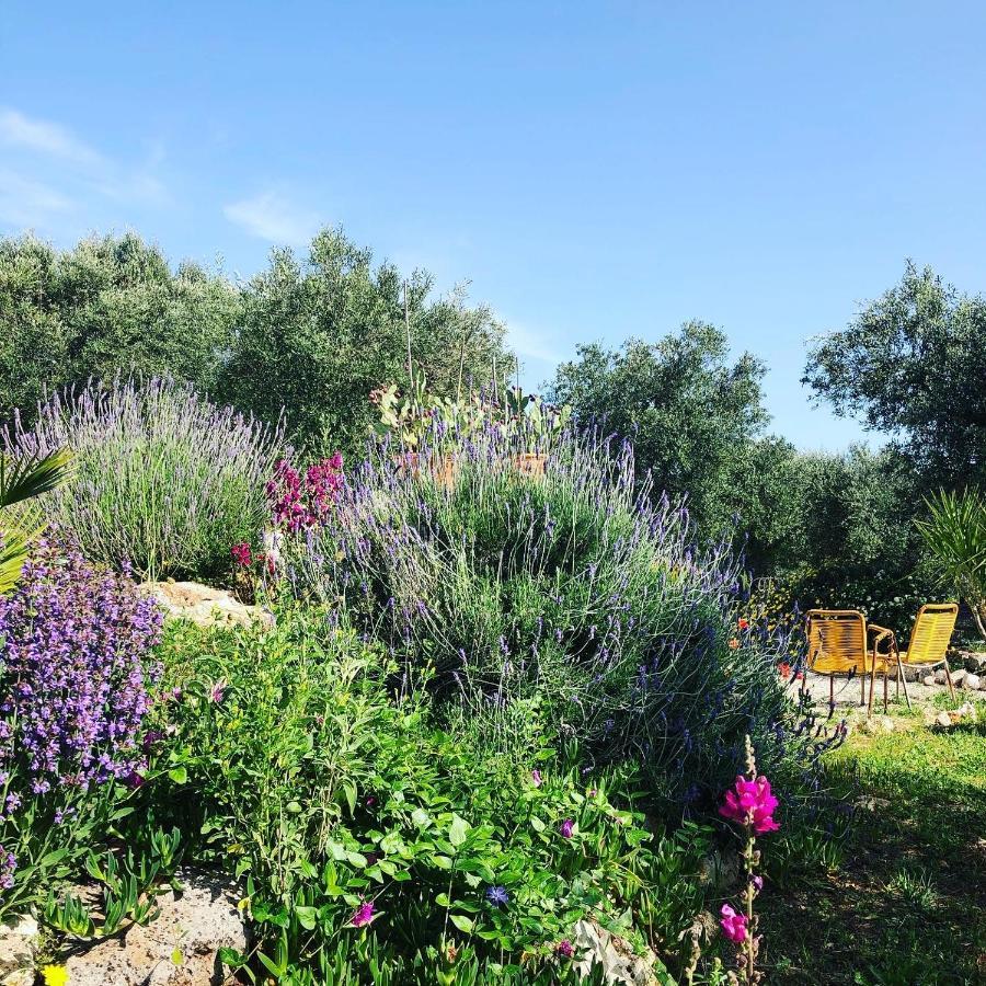 Casa Della Scrittrice Bed & Breakfast Ostuni Exterior foto