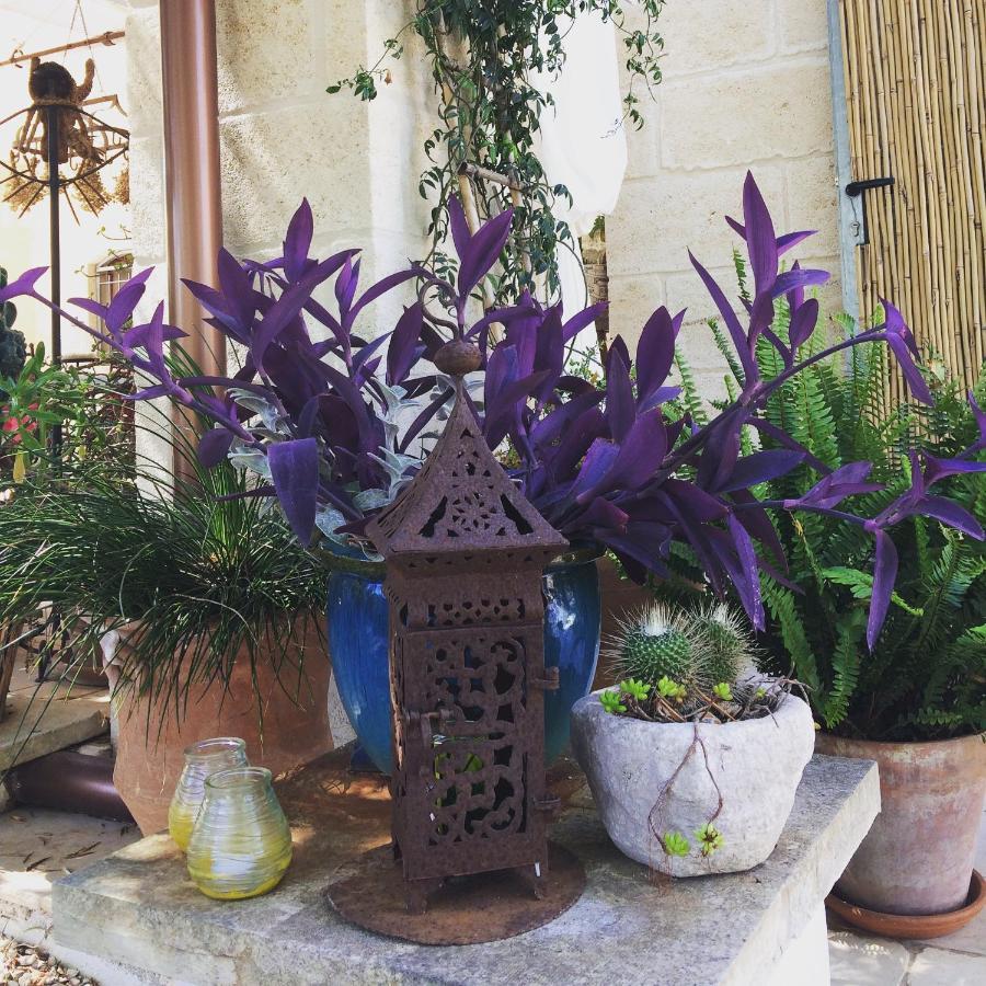 Casa Della Scrittrice Bed & Breakfast Ostuni Exterior foto