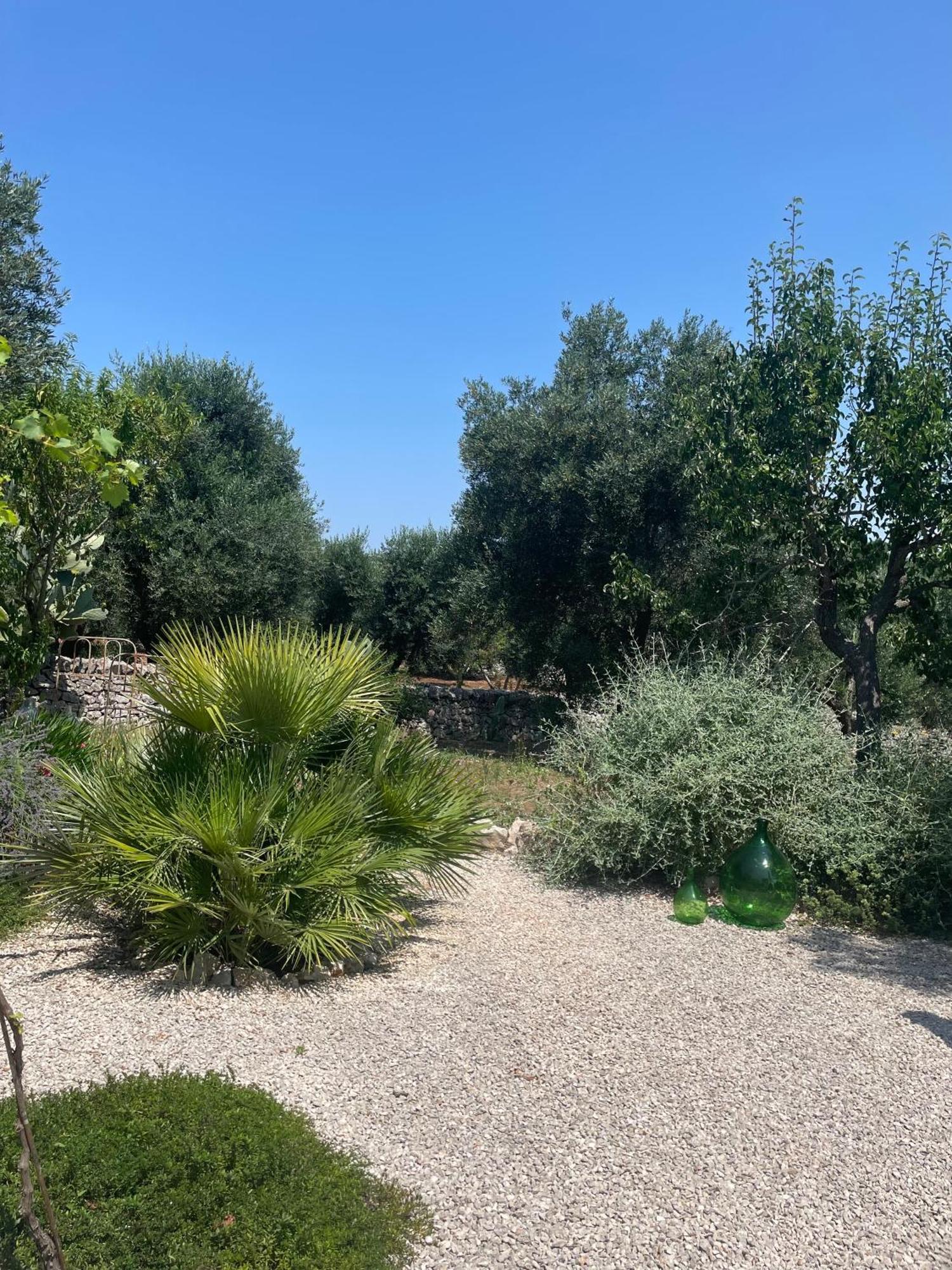 Casa Della Scrittrice Bed & Breakfast Ostuni Cameră foto